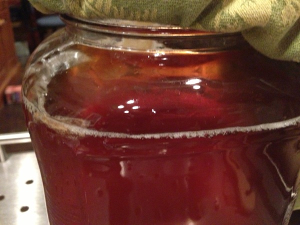 SCOBY6